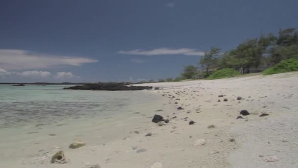 Prachtige Stranden Het Paradijs Mauritius — Stockvideo