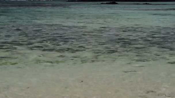 Piękny Krajobraz Raju Mauritius — Wideo stockowe