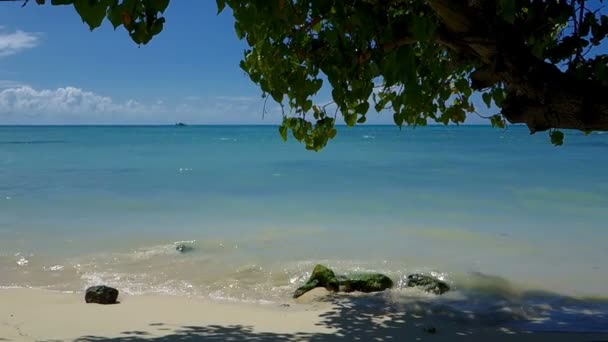 Gyönyörű Táj Paradicsomban Mauritius — Stock videók