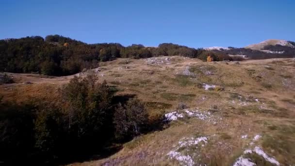 Aerial Farmlands Durmitor National Park Montenegro — Stock Video