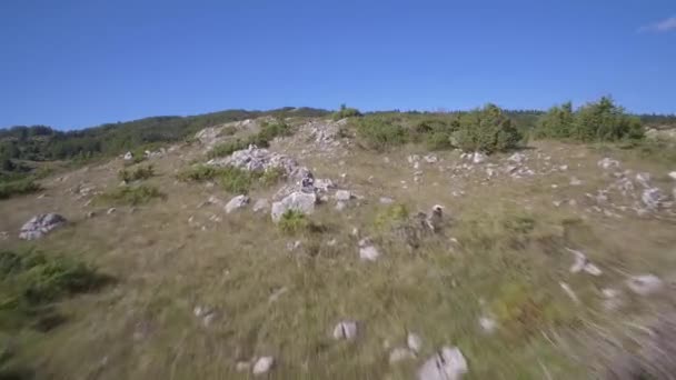 Anteny Pivsko Jezero Pluzine Czarnogóra Materiał Macierzysty Prosto Cam — Wideo stockowe