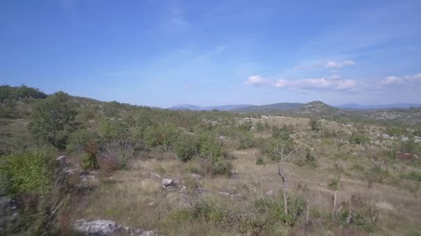 Aerial Farmland Trees Bushes Montenegro Graded Stabilized Version Следите Родным — стоковое видео