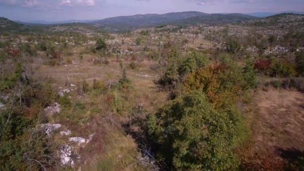 Aerial Farmland Trees Bushes Monténégro Version Graduée Stabilisée Surveillez Également — Video