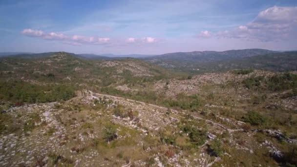 Антена Сільськогосподарські Угіддя Дерев Кущів Чорногорії Градуйовані Стабілізований Версії Також — стокове відео