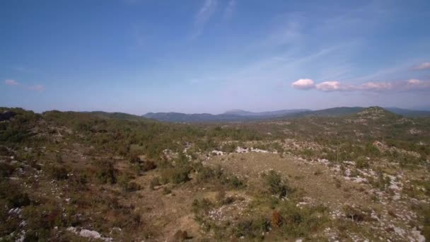 Aerial Farmland Árvores Arbustos Montenegro Versão Graduada Estabilizada Assista Também — Vídeo de Stock