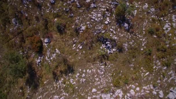 Aerial Farmland Árvores Arbustos Montenegro Versão Graduada Estabilizada Assista Também — Vídeo de Stock