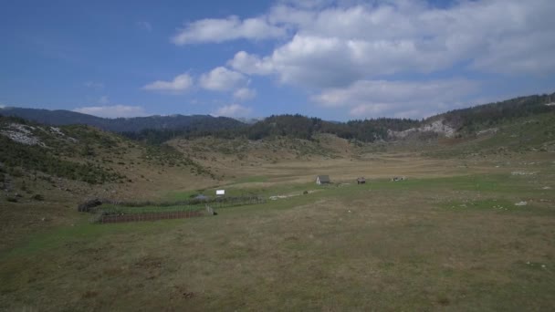 Aérea Tierras Agrícolas Parque Nacional Durmitor Montenegro — Vídeo de stock