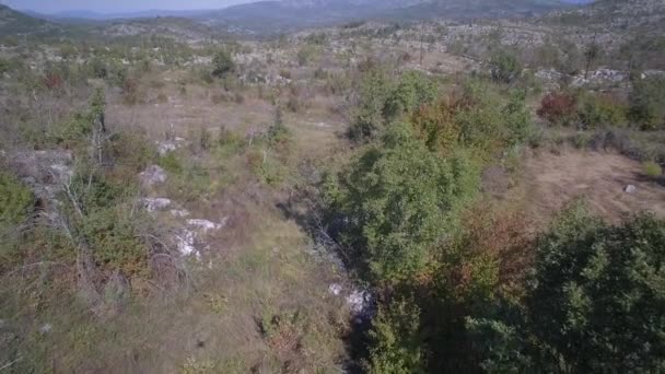 Antenne Landbouwgrond Bomen Struiken Montenegro Graded Gestabiliseerde Versie Horloge Ook — Stockvideo