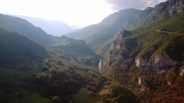 Antenne Tara River Canyon Montenegro Abgestufte Und Stabilisierte Version Achten — Stockvideo