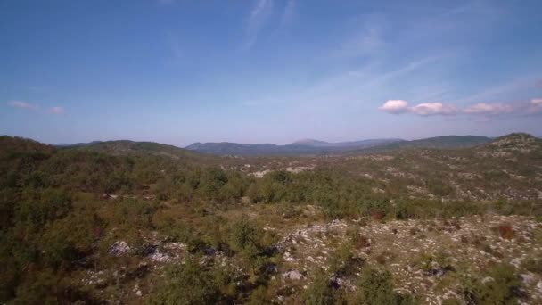 Aerial Farmland Trees Bushes Μαυροβούνιο Διαβαθμισμένη Και Σταθεροποιημένη Έκδοση Παρακολουθήστε — Αρχείο Βίντεο