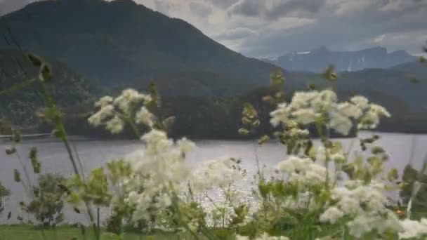Prachtig Landschap Fjord Noorwegen Natuur Reizen — Stockvideo