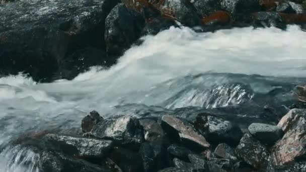 Живописный Вид Ручей Дикой Реки Норвегии — стоковое видео