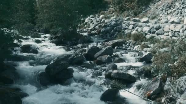 挪威野生河流的景观 — 图库视频影像