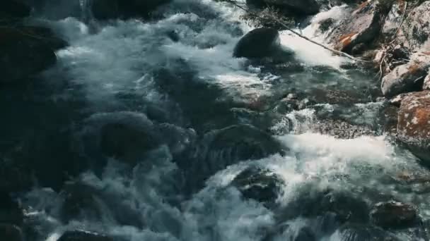 Vue Panoramique Ruisseau Fluvial Sauvage Norvège — Video