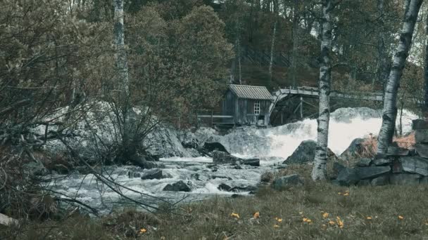 Красивый Водопад Лесу Норвегии — стоковое видео