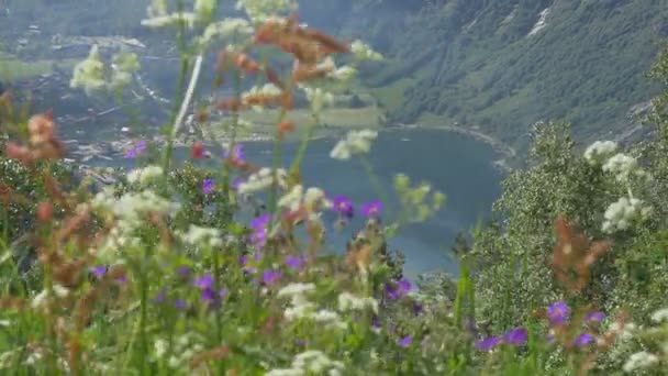 Geiranger Fjord Norway Nature Scenic View — стоковое видео