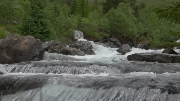 Scenic Kilátás Vad Folyami Patak Norvégiában — Stock videók