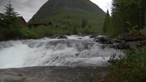 Scénický Pohled Divoký Říční Potok Norsku — Stock video
