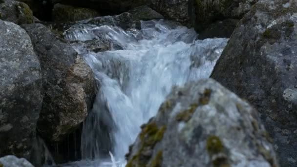 Vue Panoramique Ruisseau Fluvial Sauvage Norvège — Video