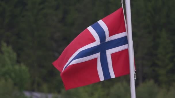 Flagge Norwegens Auf Dem Berg Lizenzfreies Stock-Filmmaterial