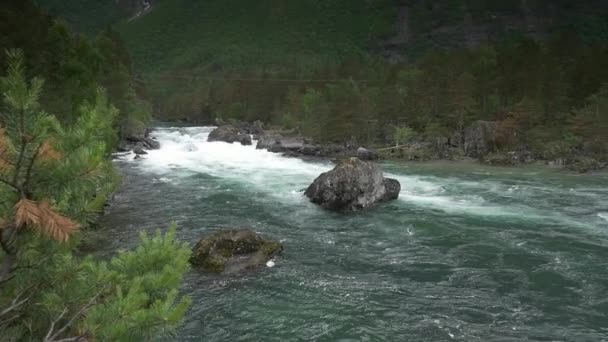 Vista Panorámica Del Arroyo Salvaje Del Río Noruega — Vídeos de Stock