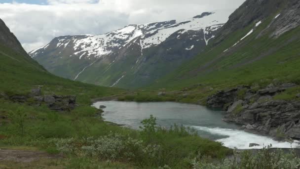 Scenic View Wild River Stream Norway — Stock Video