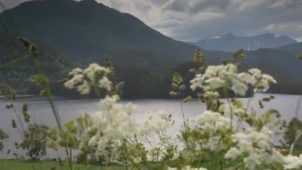 Norveç Teki Fiyortların Manzarası — Stok video