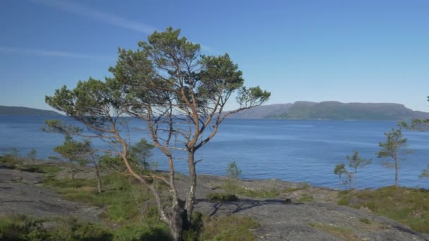 มมองท สวยงามของ Fjord นอร เวย ในช วงกลางว — วีดีโอสต็อก