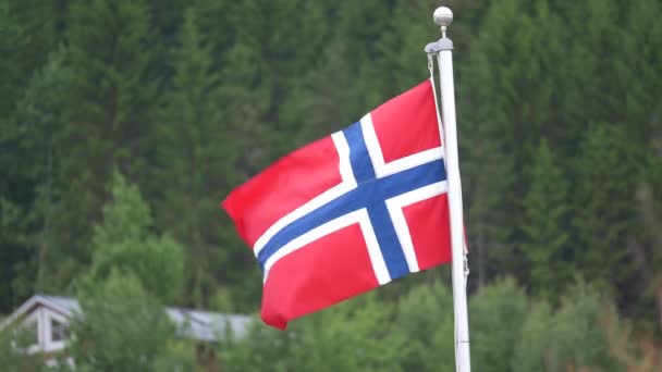 Vlag Van Noorwegen Tegen Achtergrond Van Het Bos — Stockvideo
