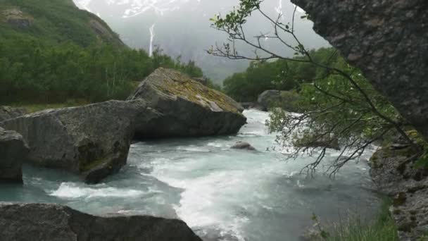Bella Vista Torrente Norvegese Norvegia — Video Stock