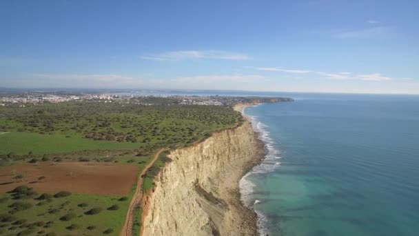 Veduta Aerea Drone Ripida Linea Scogliera Faro Portogallo — Video Stock