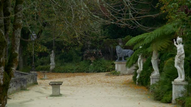 Fantastiska Quinta Regaleiras Och Trädgårdar Portugal — Stockvideo