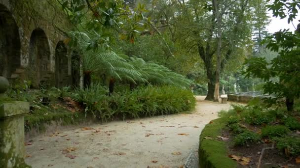 Hämmästyttävä Quinta Regaleira Puutarhat Portugali — kuvapankkivideo