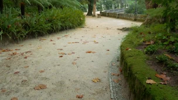 令人惊讶的金塔 Regaleira 和花园 葡萄牙 — 图库视频影像