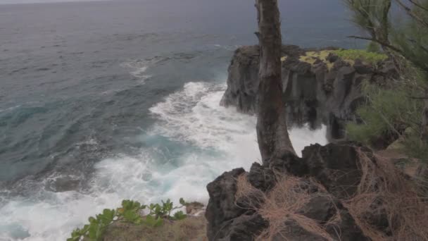 Küste Ile Réunion — Stockvideo