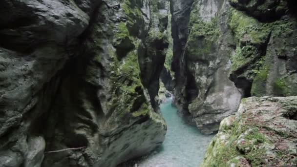 Krásný Výhled Horskou Krajinu Slovinsko — Stock video