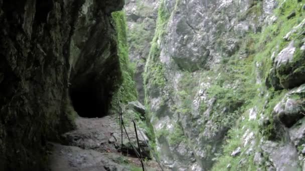 Piękny Widok Tolmin Gorge Słowenia — Wideo stockowe