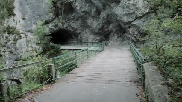 Vue Pont Tolmin Gorge Slovénie — Video