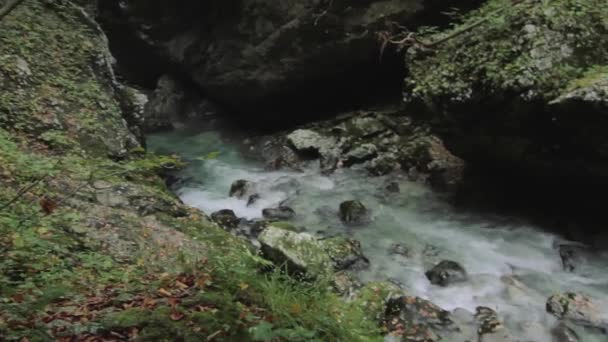 Piękny Widok Zatokę Savica Słowenia — Wideo stockowe