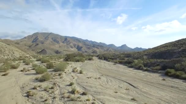 Flight Dry Riverbed Desert Andalusia Spain — Stock Video