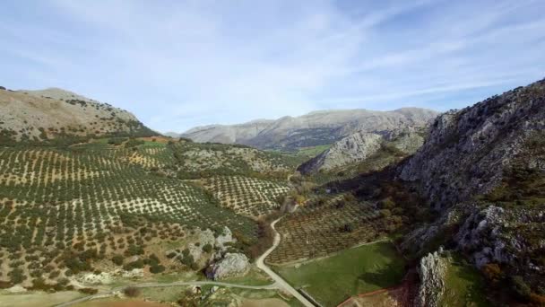Flyg Flyg Längs Berg Och Olivplanteringar Andalusien Spanien — Stockvideo