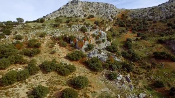 Aérea Vuelo Largo Montañas Plantaciones Olivos Andalucía España — Vídeos de Stock