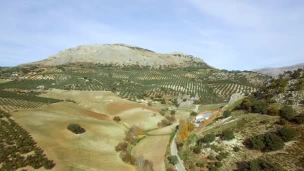エアリアル 山とオリーブプランテーションに沿ってフライト アンダルシア スペイン — ストック動画