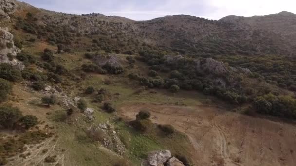 Hava Dağlar Boyunca Uçuş Zeytin Tarlaları Endülüs Spanya — Stok video