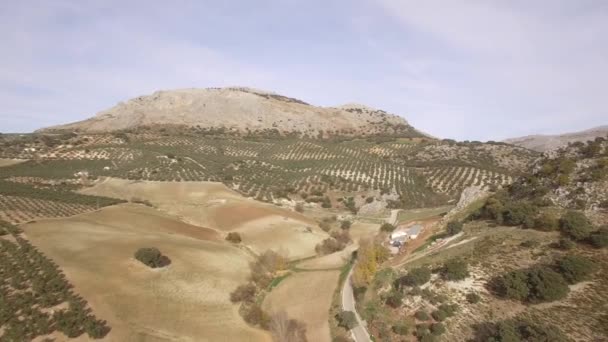 Lotnictwo Lot Wzdłuż Gór Plantacji Oliwek Andaluzja Hiszpania — Wideo stockowe