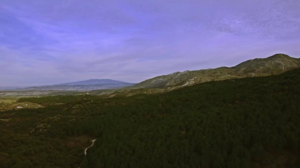 Hava Ağaçların Ormanların Tepelerin Üzerinden Uçmak Endülüs Spanya — Stok video