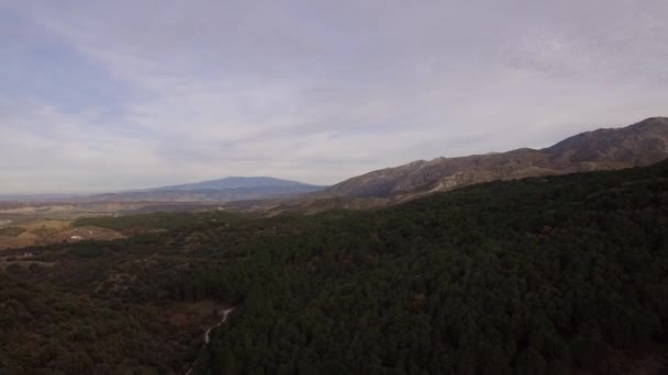 Aerial Flight Trees Forests Hills Andalusia Spain — Stock Video