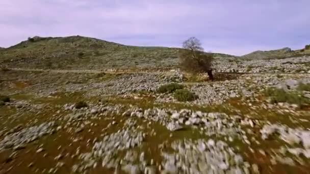 ストーニーフィールドと平らな土地 アンダルシア スペイン — ストック動画