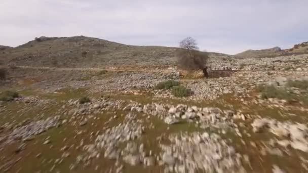 Luz Sobre Campos Pedregosos Tierras Planas Andalucía España — Vídeo de stock