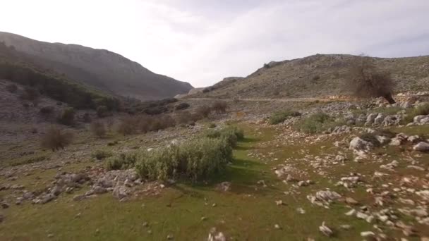 在西班牙安达卢西亚石田和平坦的土地上闪烁着光芒 — 图库视频影像